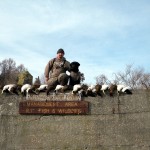 Full limit of Eider