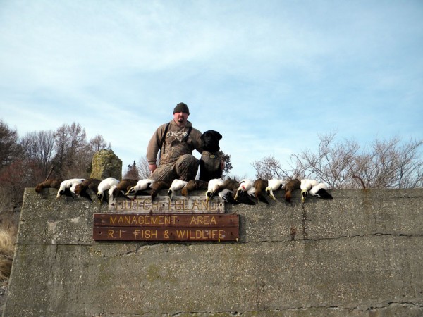 Full limit of Eider