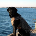 My hunting dog Kinky